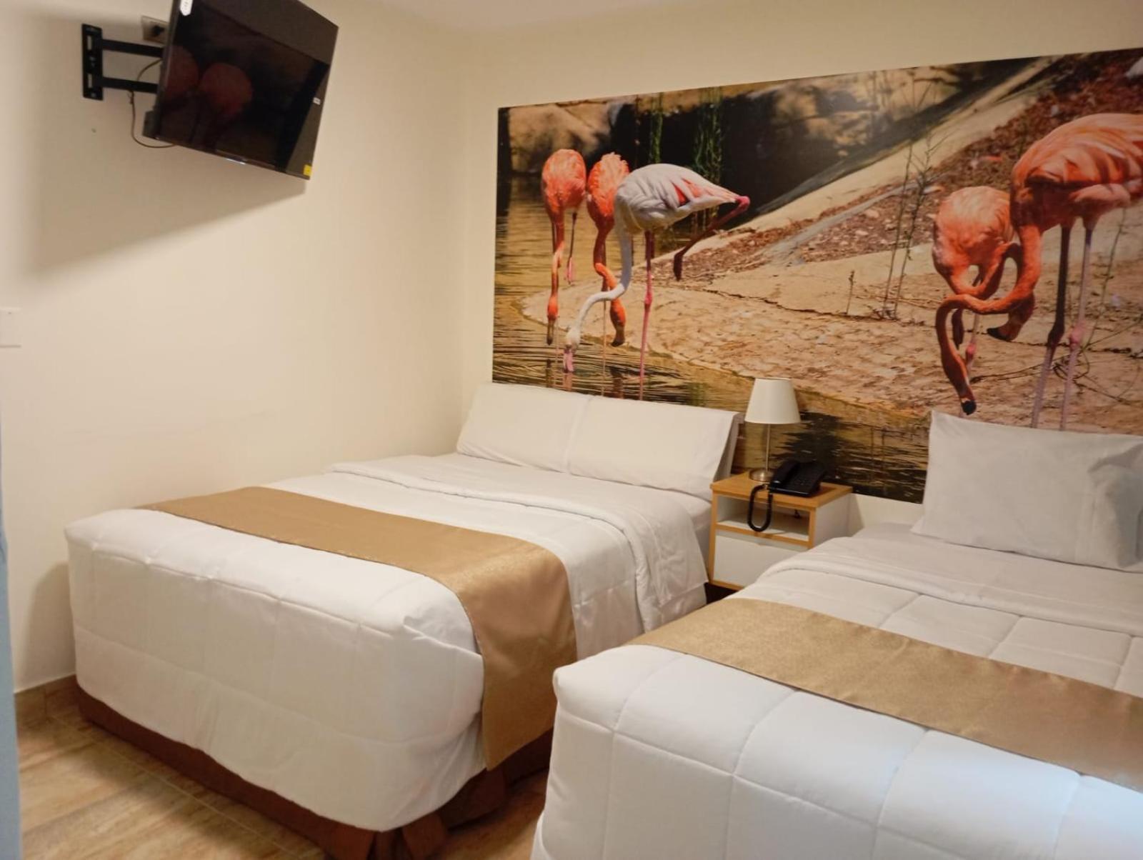 Hotel Soul Mate Inn Distretto di Distretto di Lima Esterno foto